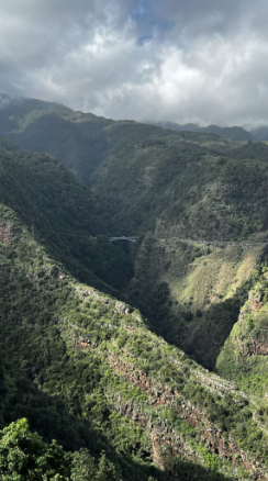 Ein Blick von oben auf die Wälder und Berge von La Palma